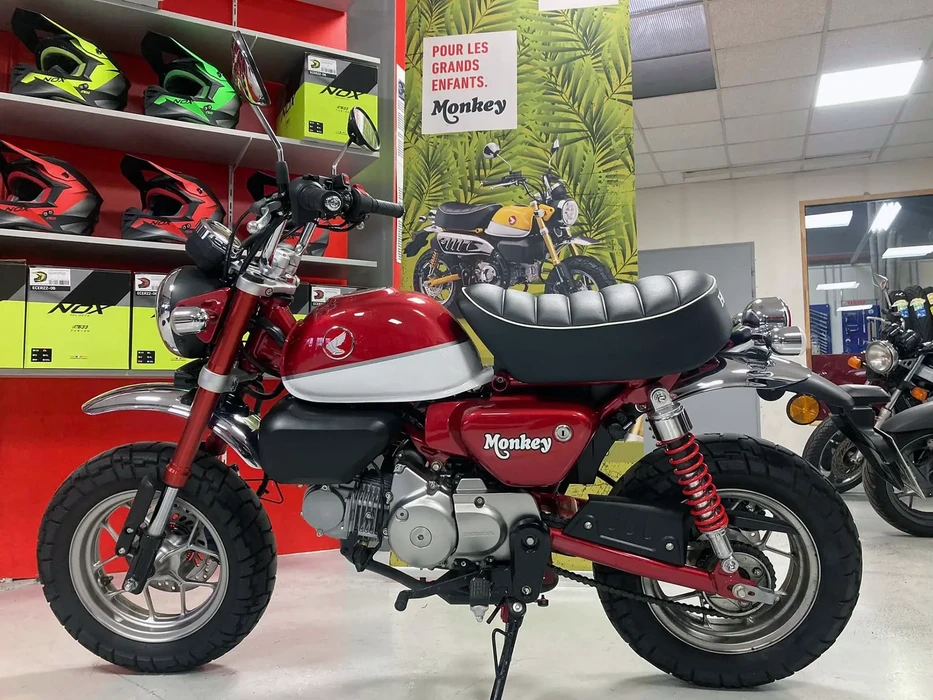 Atelier de réparation moto avec Indian Scout noire sur pont élévateur hydraulique rouge ML500