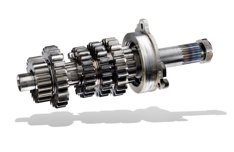 Atelier de réparation vélos avec établi en bois organisé